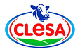 Logo de Clesa